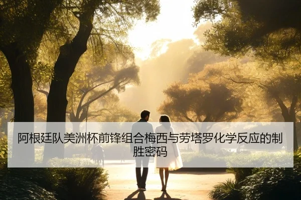 阿根廷队美洲杯前锋组合梅西与劳塔罗化学反应的制胜密码
