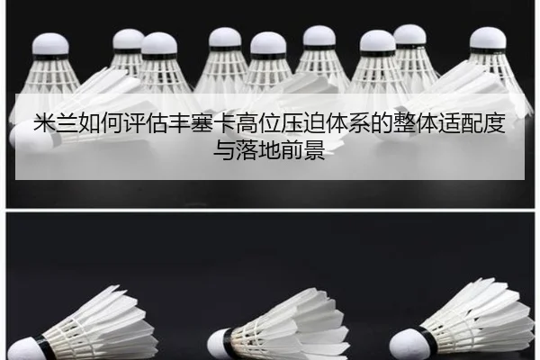 米兰如何评估丰塞卡高位压迫体系的整体适配度与落地前景
